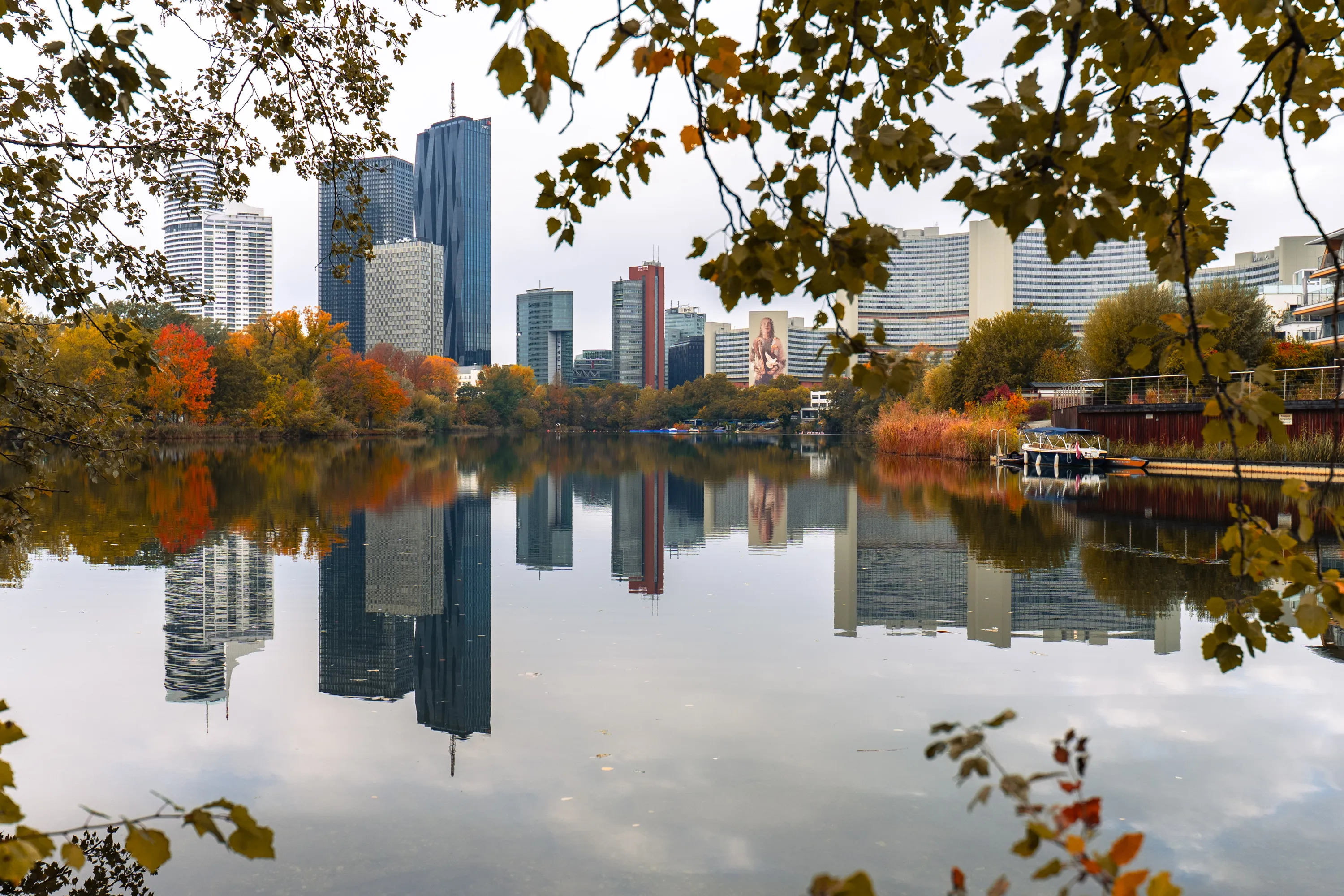 Donau City high-rises and autumn-coloured trees reflected in Vienna’s Alte Donau, framed by branches, with boats along the right bank.