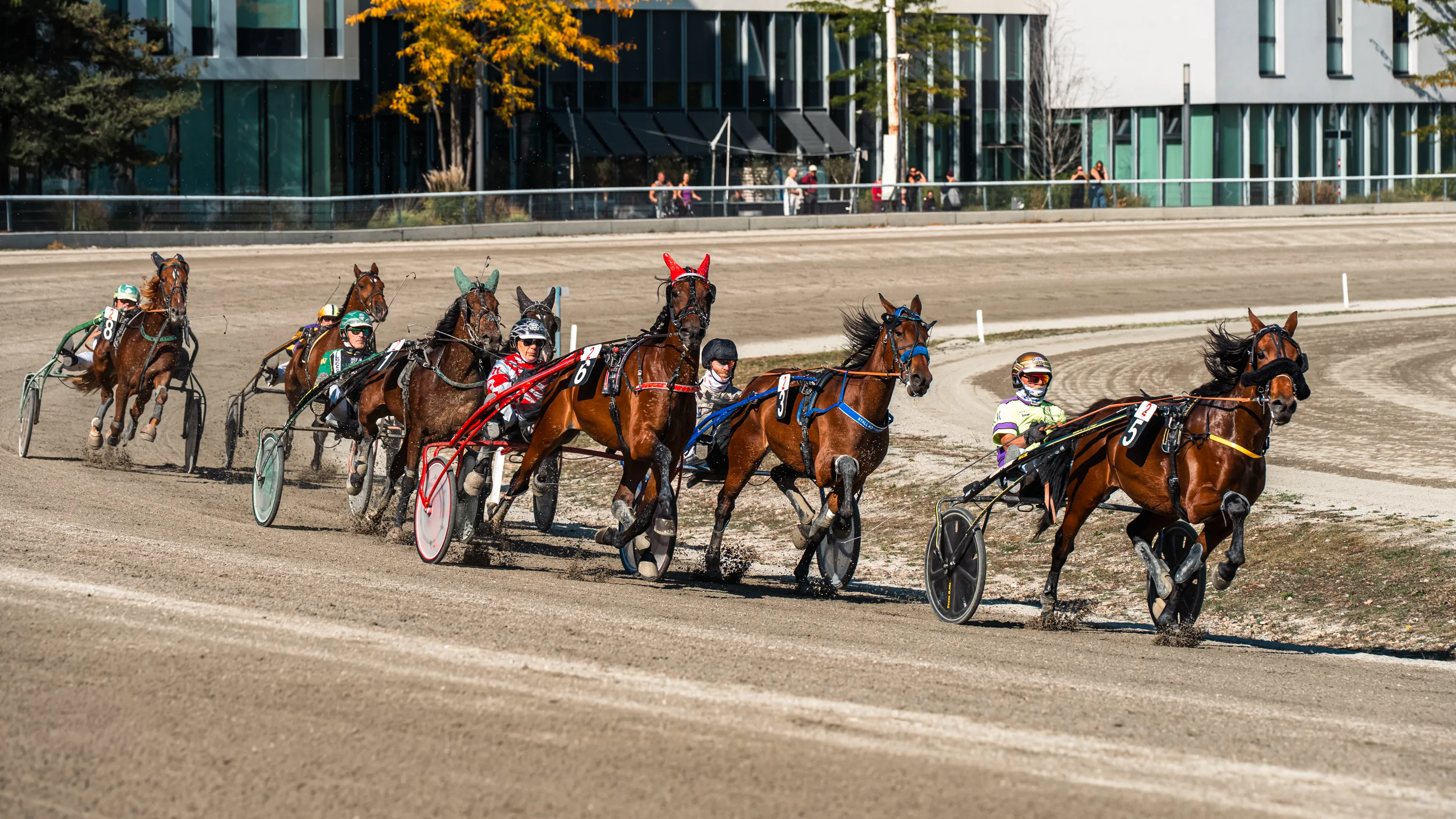 A group of harness-racing horses pulls two-wheeled sulkies around a dirt-track bend at Krieau in Vienna, with helmeted drivers in colourful racing clothes.